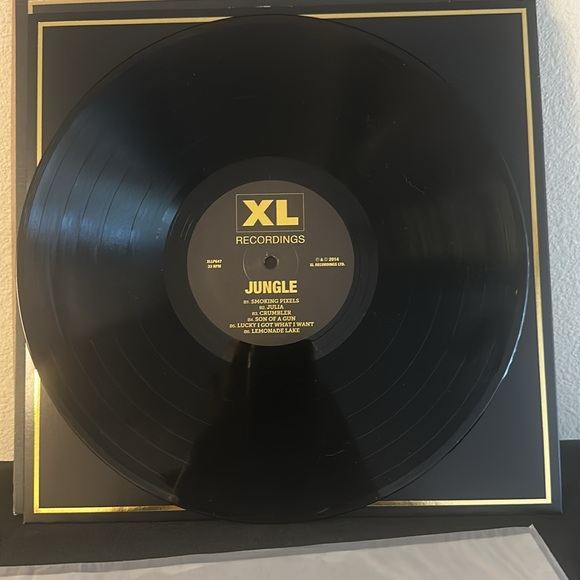 Jungle Vinyl Record with Gold Accents - Picture 7 of 7